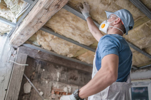 Best Insulation Maintenance and Repair in Stateburg, SC